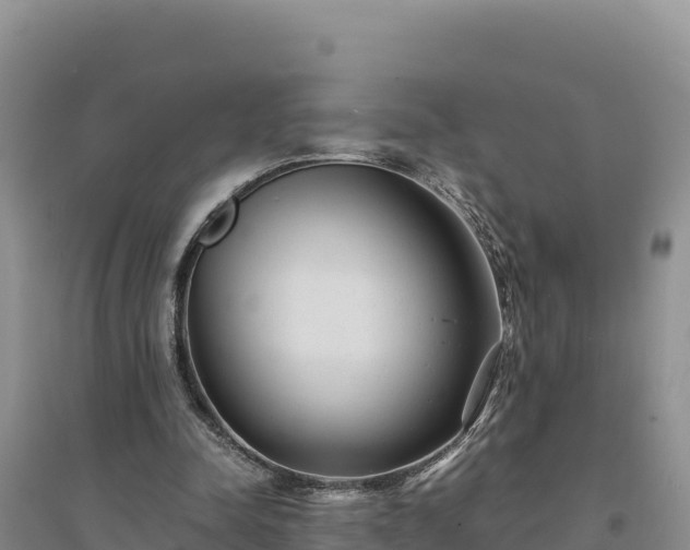 X0000094340342200711091434