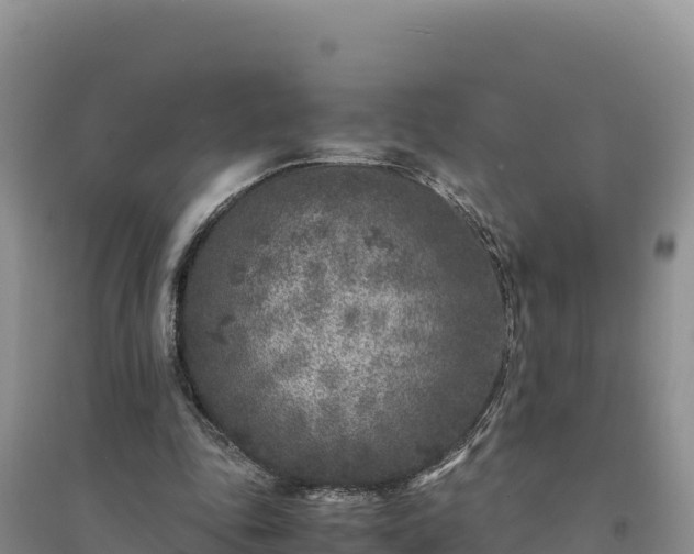 X0000094340343200711091434