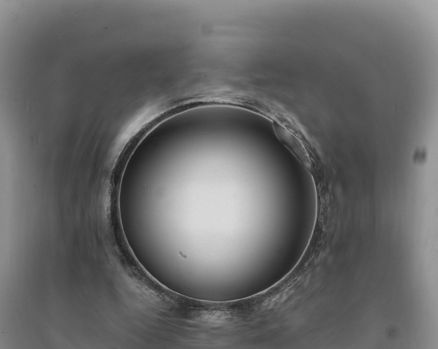X0000094340344200711091434