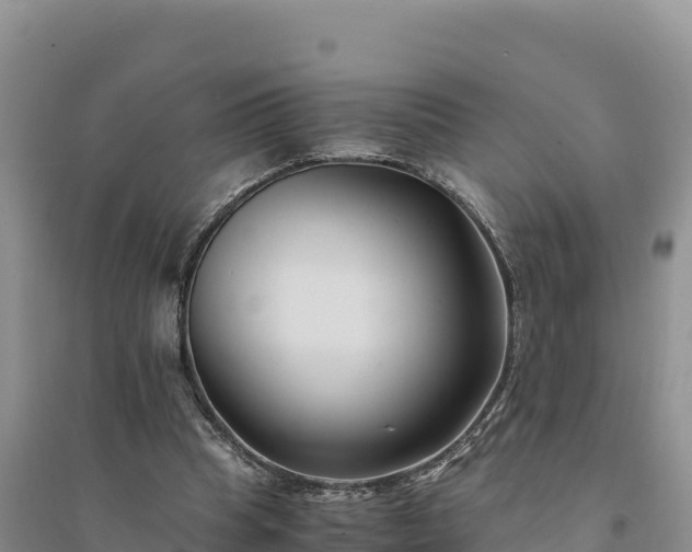 X0000094340345200711091434