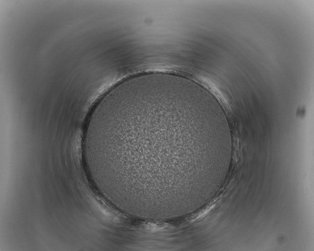 X0000094340346200711091434