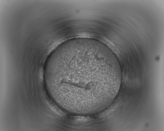 X0000094340347200711091434