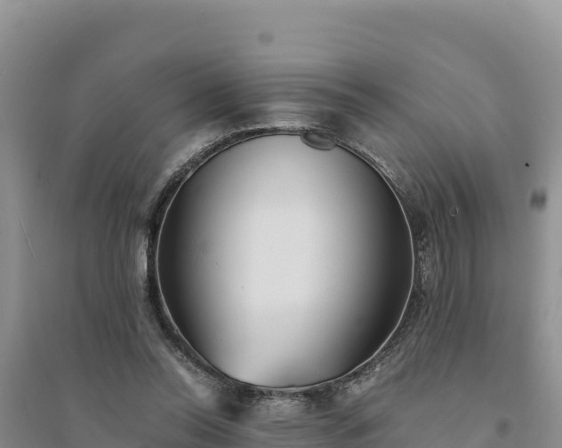 X0000094340350200711091434
