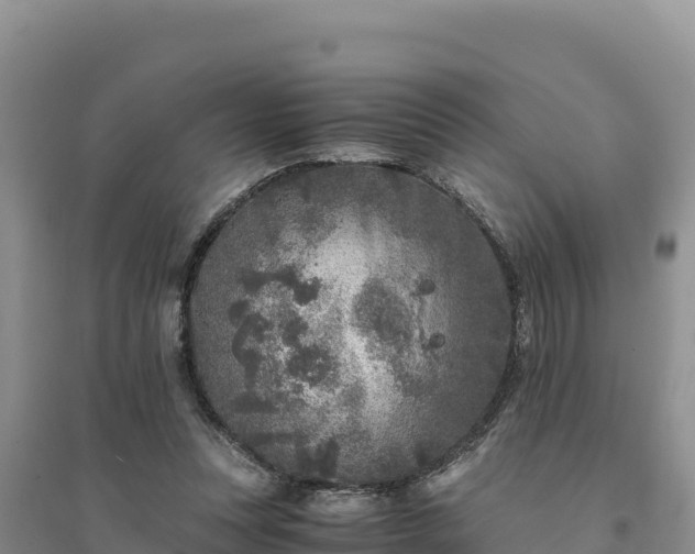 X0000094340351200711091434