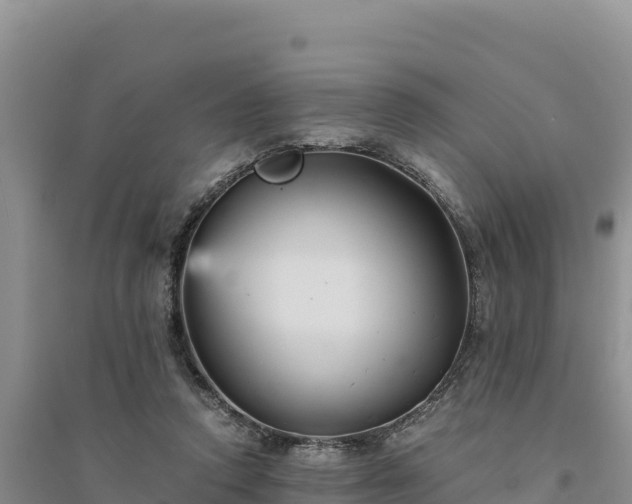 X0000094340354200711091434
