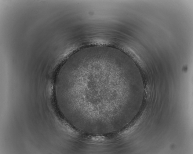 X0000094340355200711091434