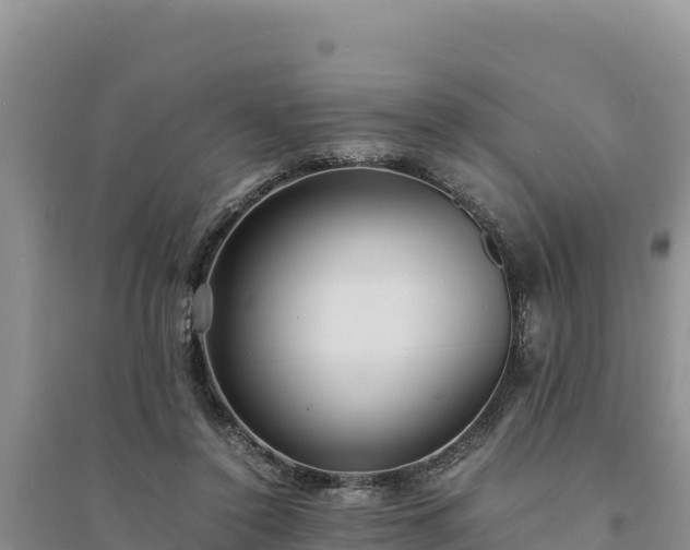 X0000094340356200711091434