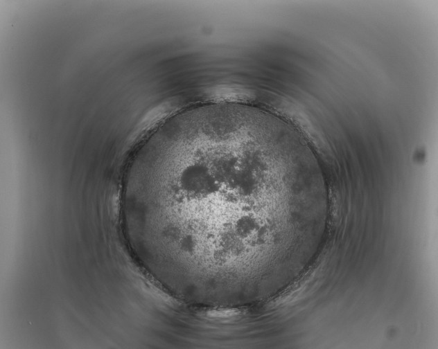 X0000094340357200711091434