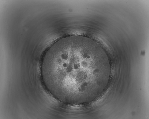 X0000094340359200711091434