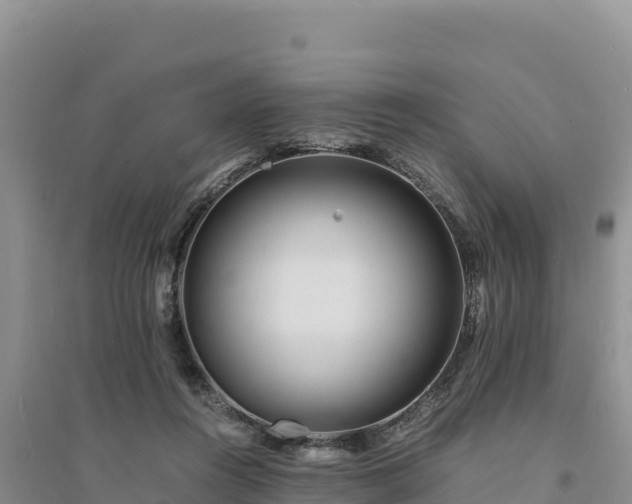 X0000094340360200711091434