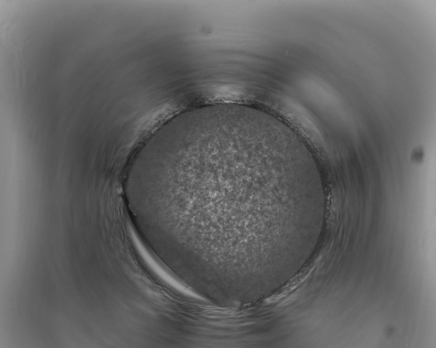 X0000094340361200711091434