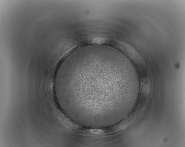 X0000094340363200711091434