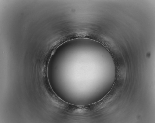 X0000094340364200711091434