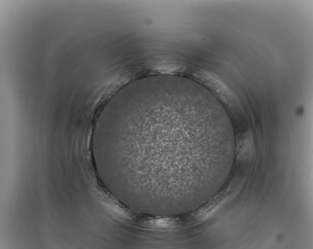 X0000094340365200711091434