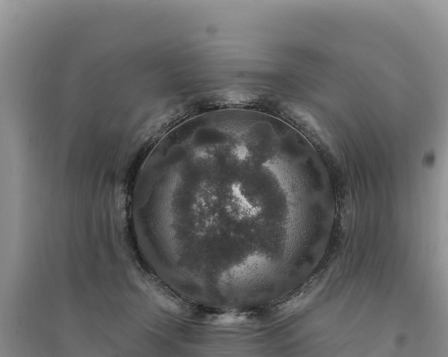 X0000094340366200711091434