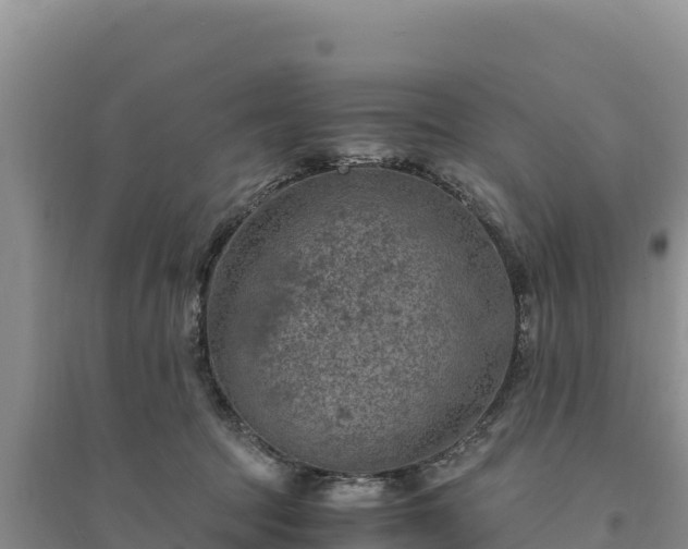X0000094340369200711091434