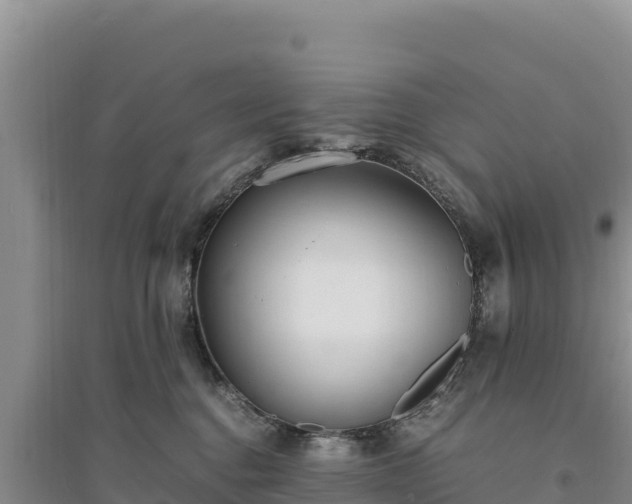 X0000094340376200711091434