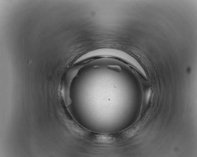 X0000094340380200711091434