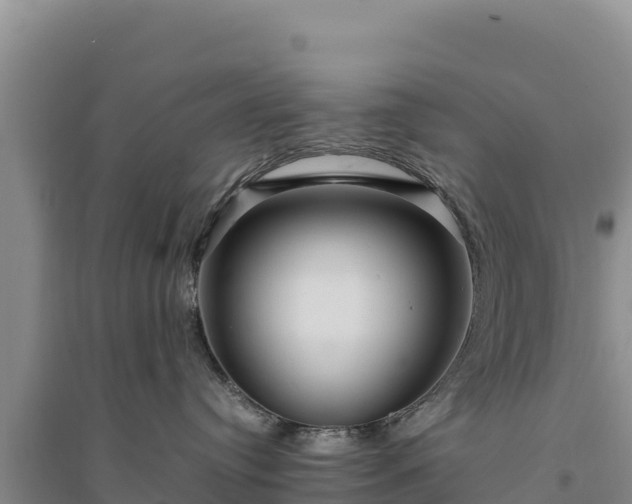 X0000094340384200711091435