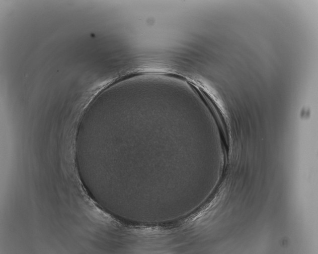 X0000094340385200711091434