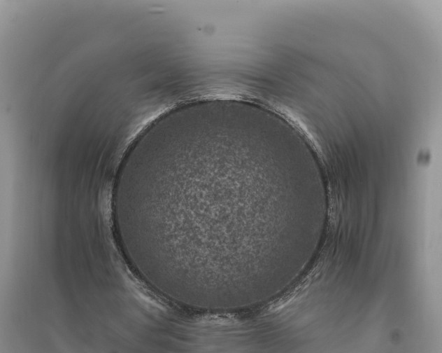 X0000094340386200711091434