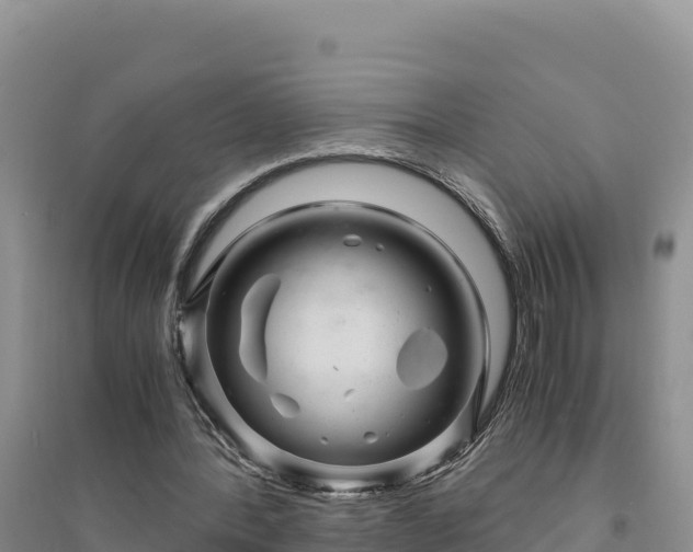X0000094340388200711091434