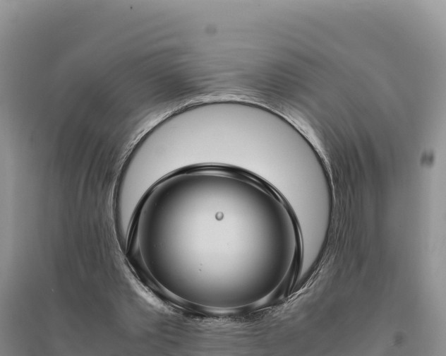 X0000094340389200711091434