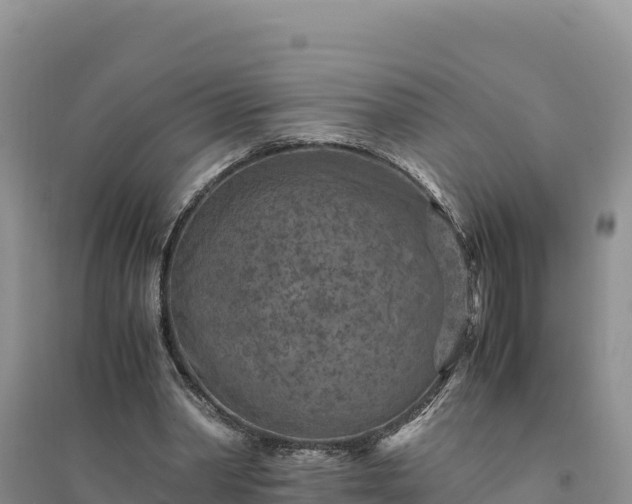 X0000094340390200711091434