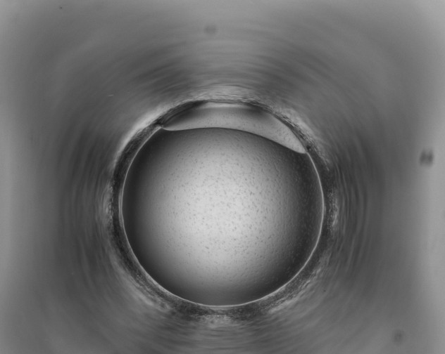 X0000094340392200711091434