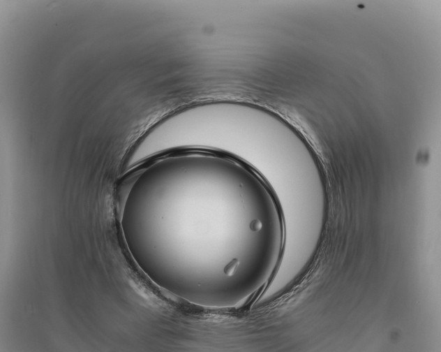 X0000094340393200711091434