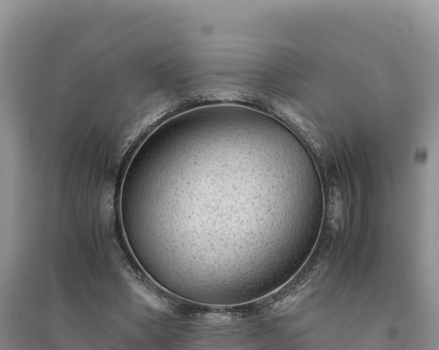 X0000094340394200711091434