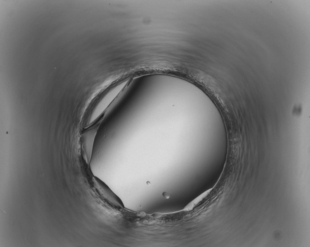 X0000094340395200711091434