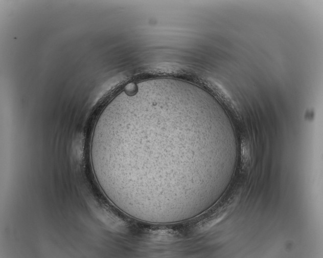 X0000094340396200711091434