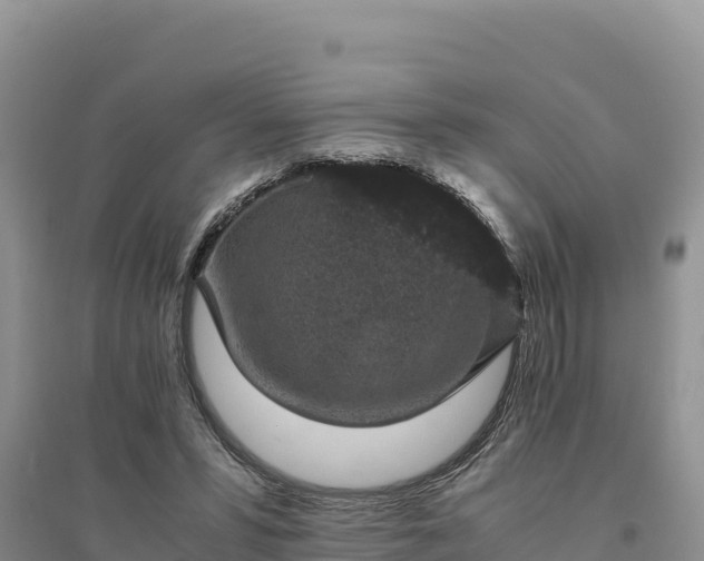 X0000094340399200711091434
