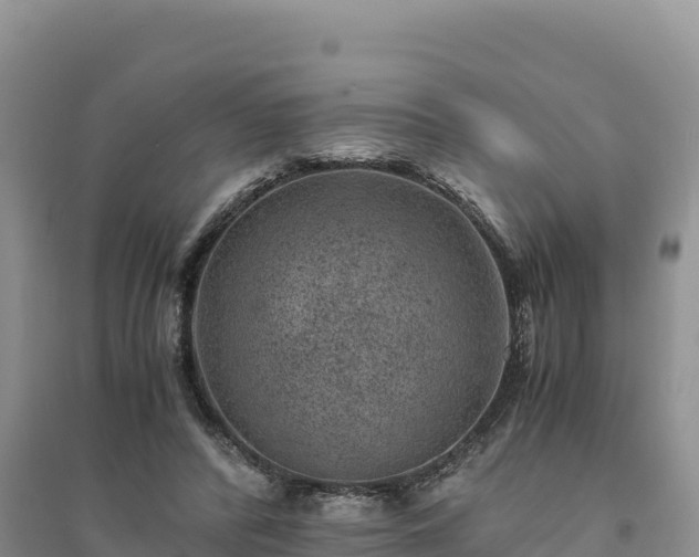X0000094340400200711091434