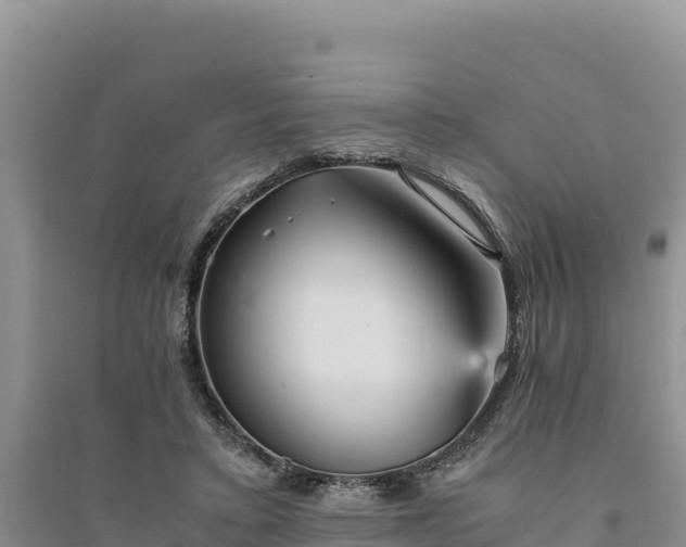 X0000094340403200711091434