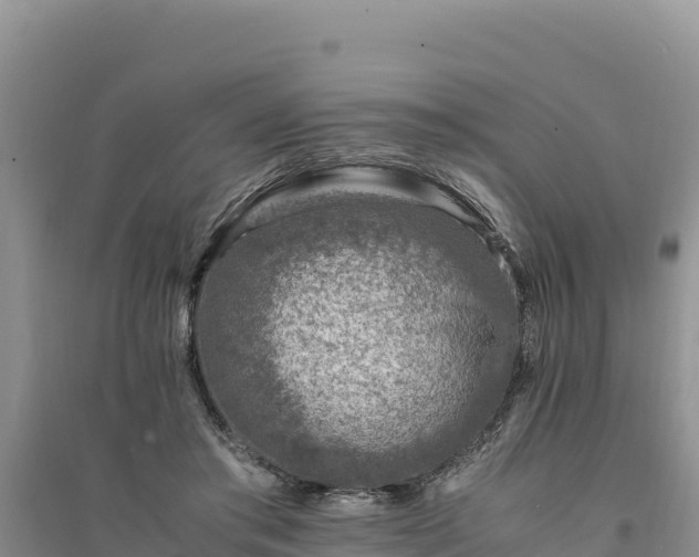 X0000094340405200711091434