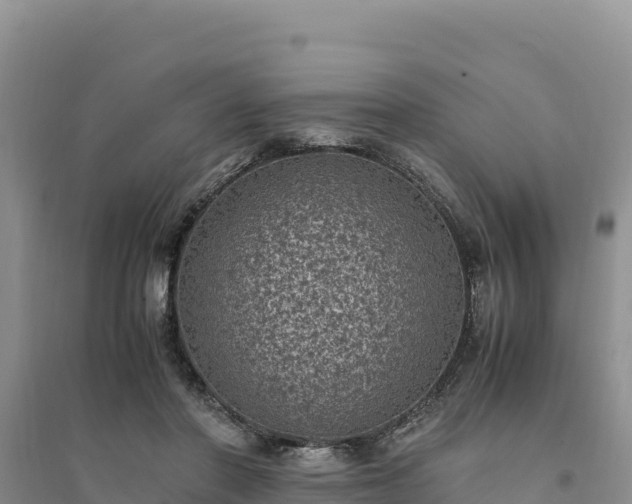 X0000094340406200711091433