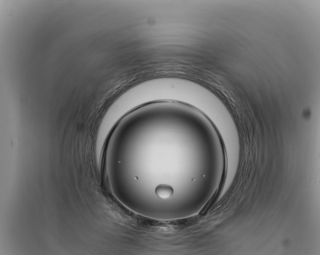 X0000094340411200711091433