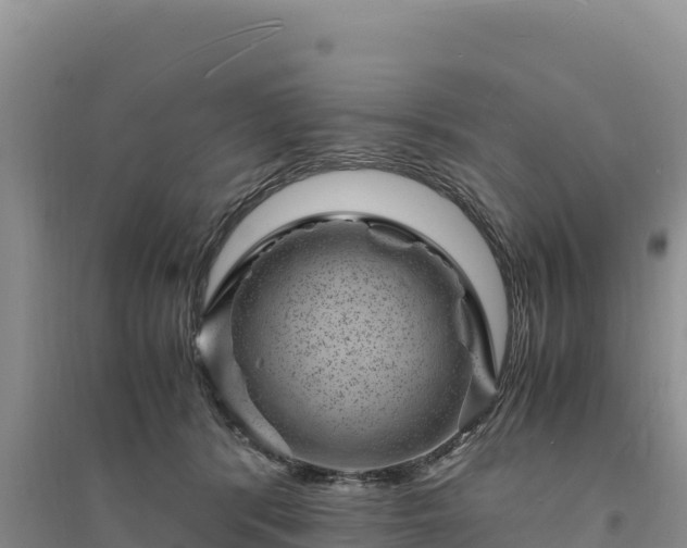 X0000094340416200711091433