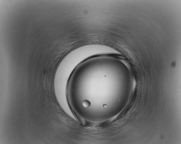 X0000094340417200711091433