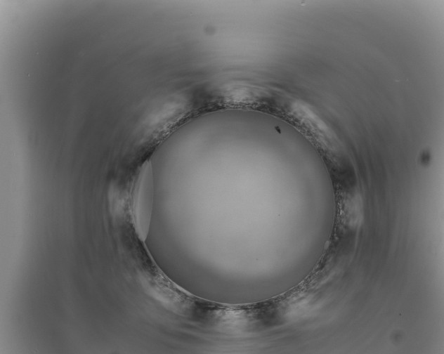 X0000094340419200711091433