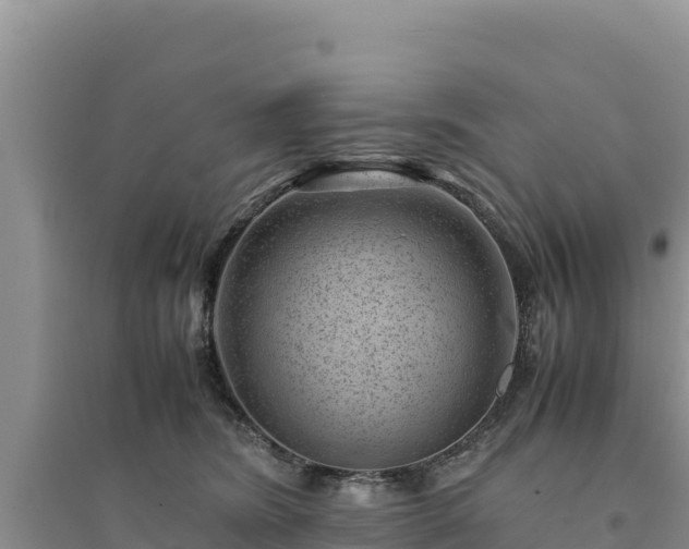 X0000094340420200711091433