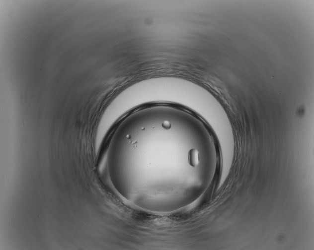 X0000094340423200711091433