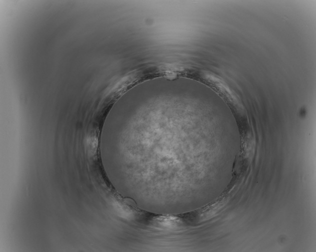 X0000094340427200711091433