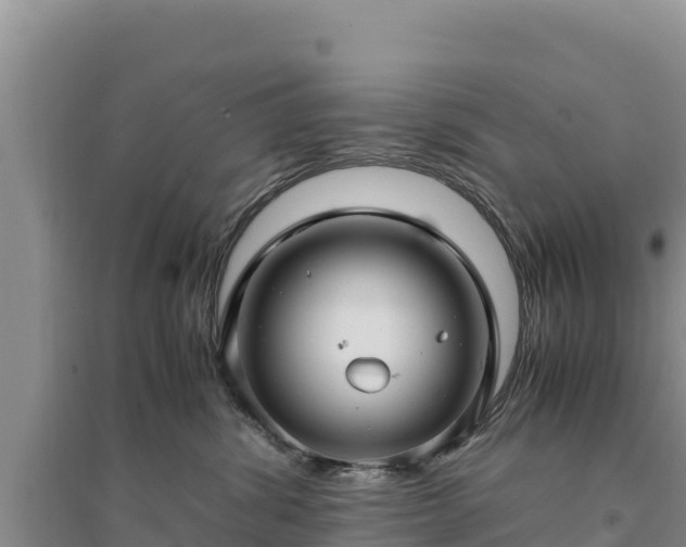 X0000094340428200711091433