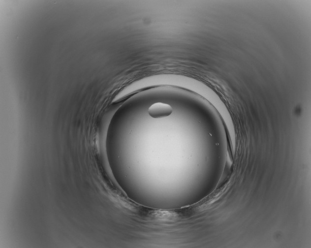 X0000094340429200711091433