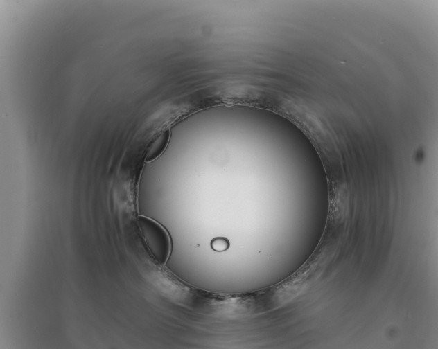 X0000094340430200711091433