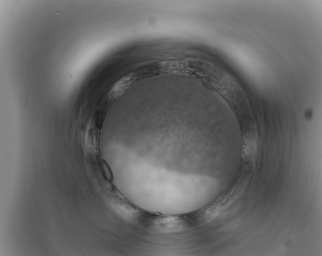 X0000094340431200711091433