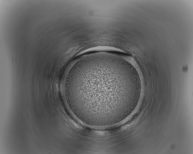 X0000094340432200711091433